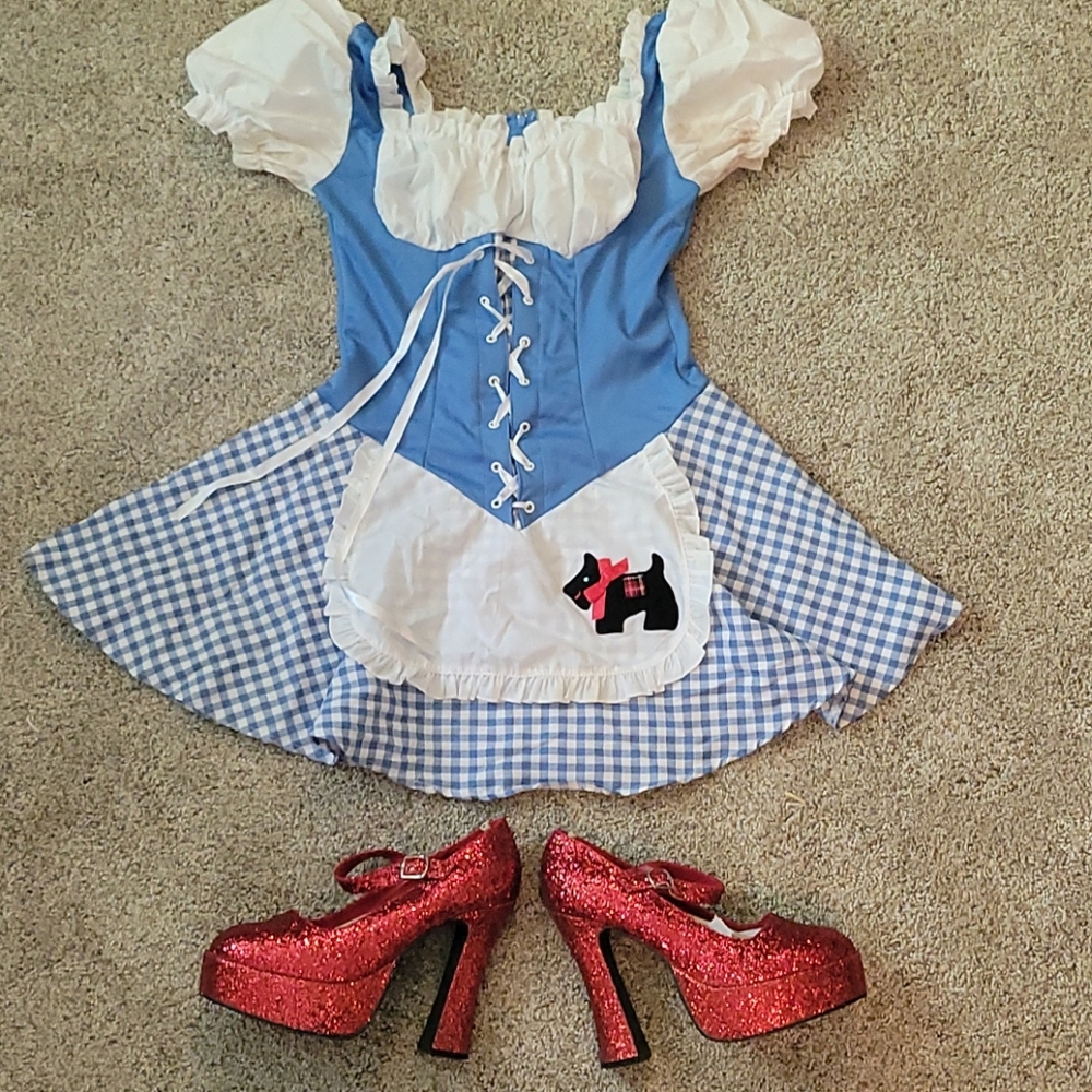 Blue and White Gingham Apron Dress Costume with Red Glitter Heels